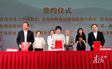 如何擦亮“中国化橘红之乡”金字招牌？这场发布会告诉你